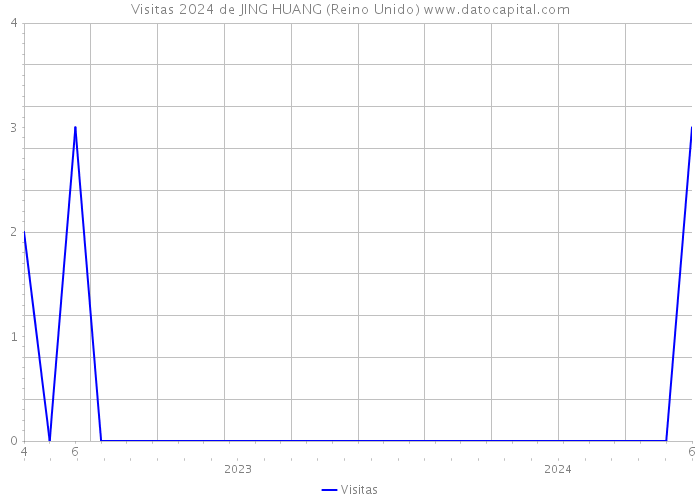 Visitas 2024 de JING HUANG (Reino Unido) 