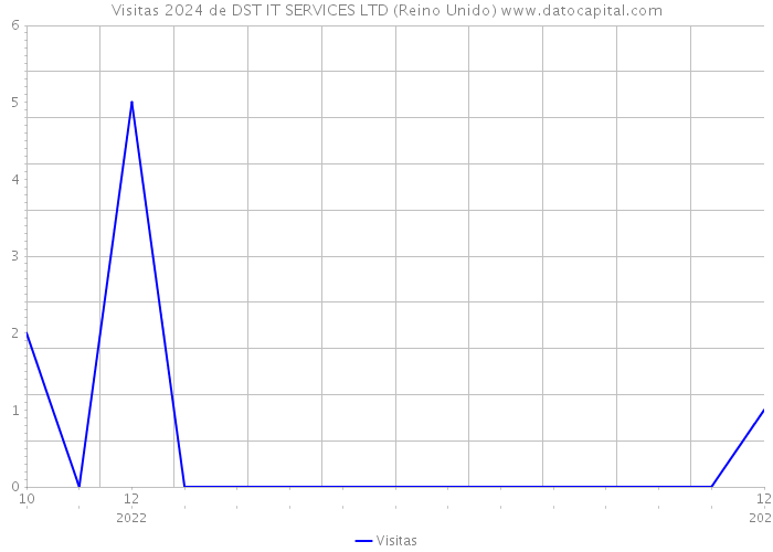 Visitas 2024 de DST IT SERVICES LTD (Reino Unido) 