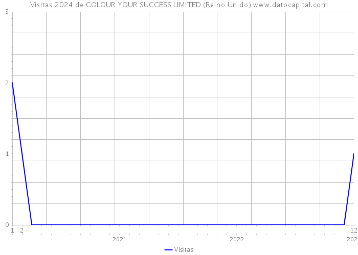 Visitas 2024 de COLOUR YOUR SUCCESS LIMITED (Reino Unido) 