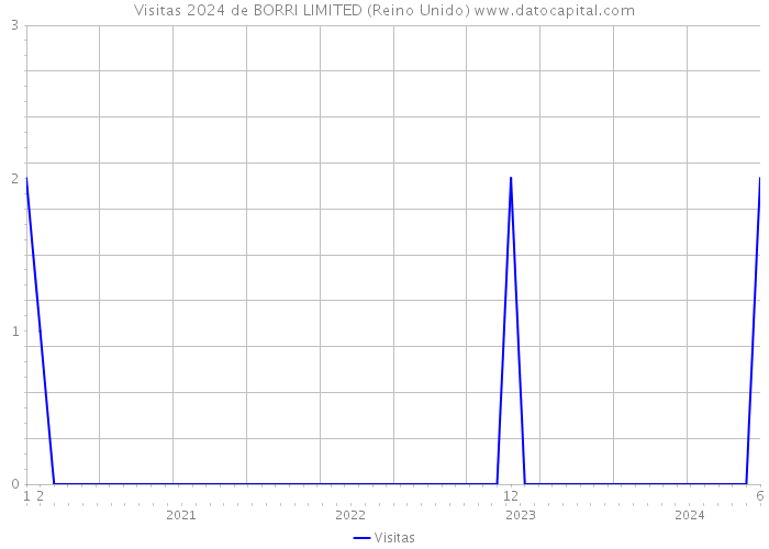 Visitas 2024 de BORRI LIMITED (Reino Unido) 