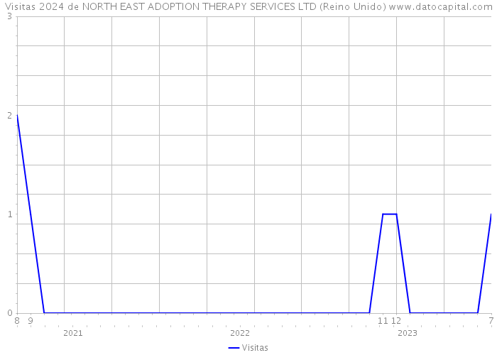 Visitas 2024 de NORTH EAST ADOPTION THERAPY SERVICES LTD (Reino Unido) 