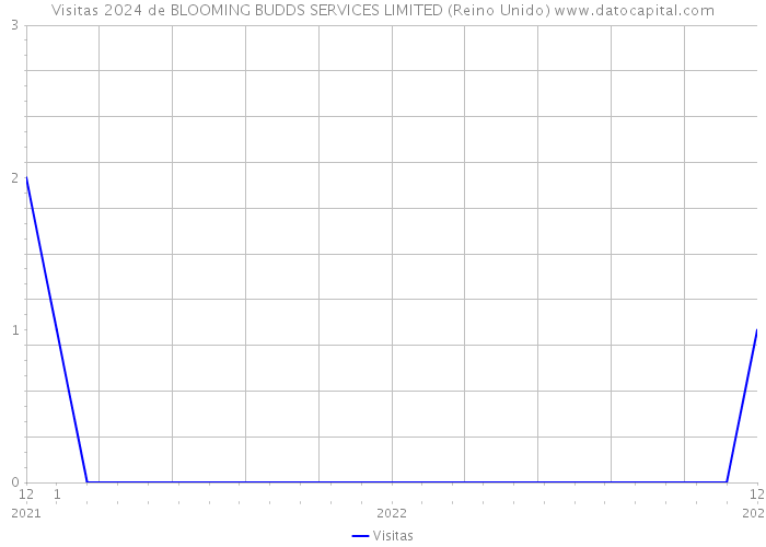 Visitas 2024 de BLOOMING BUDDS SERVICES LIMITED (Reino Unido) 