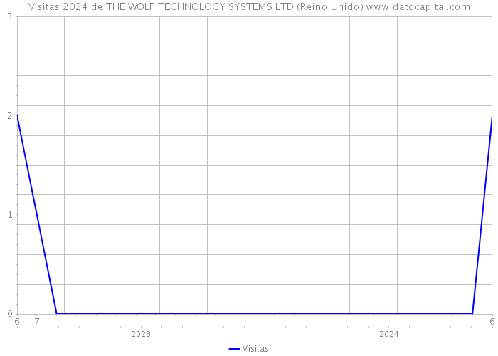 Visitas 2024 de THE WOLF TECHNOLOGY SYSTEMS LTD (Reino Unido) 