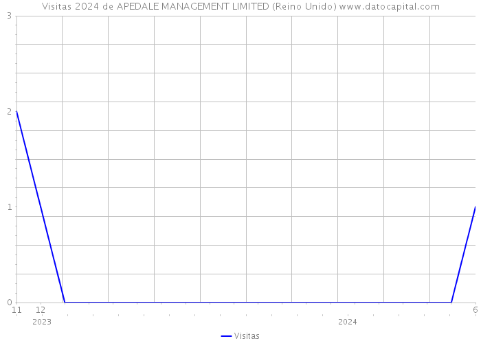 Visitas 2024 de APEDALE MANAGEMENT LIMITED (Reino Unido) 