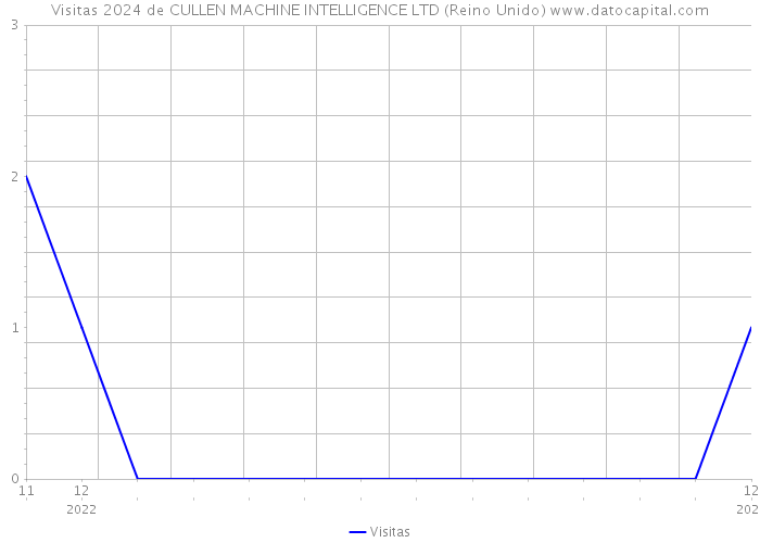 Visitas 2024 de CULLEN MACHINE INTELLIGENCE LTD (Reino Unido) 