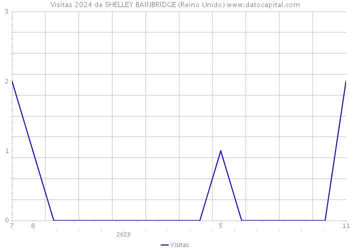 Visitas 2024 de SHELLEY BAINBRIDGE (Reino Unido) 