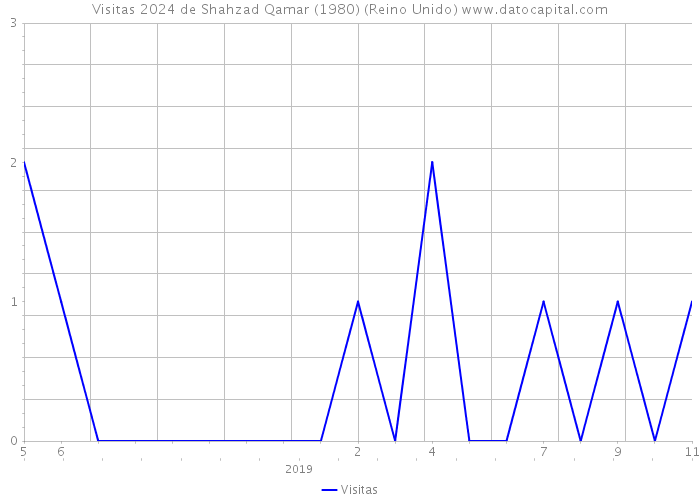 Visitas 2024 de Shahzad Qamar (1980) (Reino Unido) 