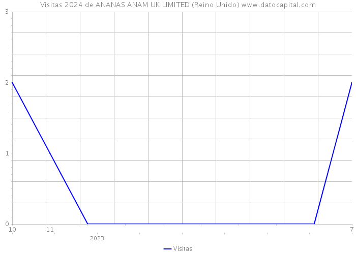 Visitas 2024 de ANANAS ANAM UK LIMITED (Reino Unido) 