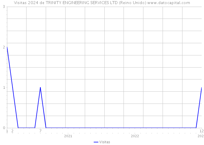 Visitas 2024 de TRINITY ENGINEERING SERVICES LTD (Reino Unido) 