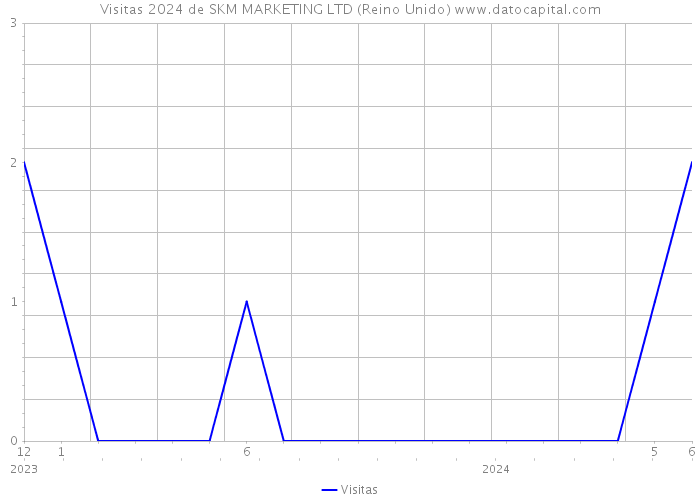 Visitas 2024 de SKM MARKETING LTD (Reino Unido) 