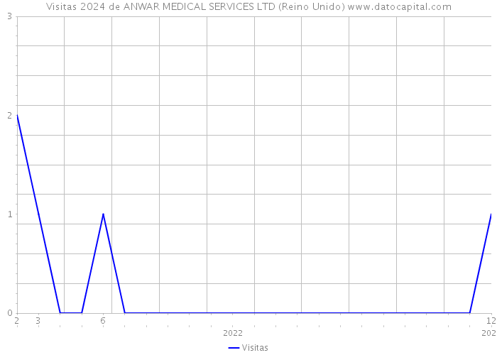 Visitas 2024 de ANWAR MEDICAL SERVICES LTD (Reino Unido) 