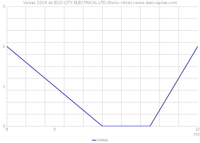 Visitas 2024 de ECO CITY ELECTRICAL LTD (Reino Unido) 