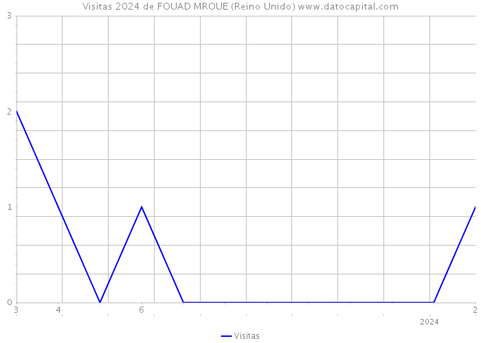 Visitas 2024 de FOUAD MROUE (Reino Unido) 