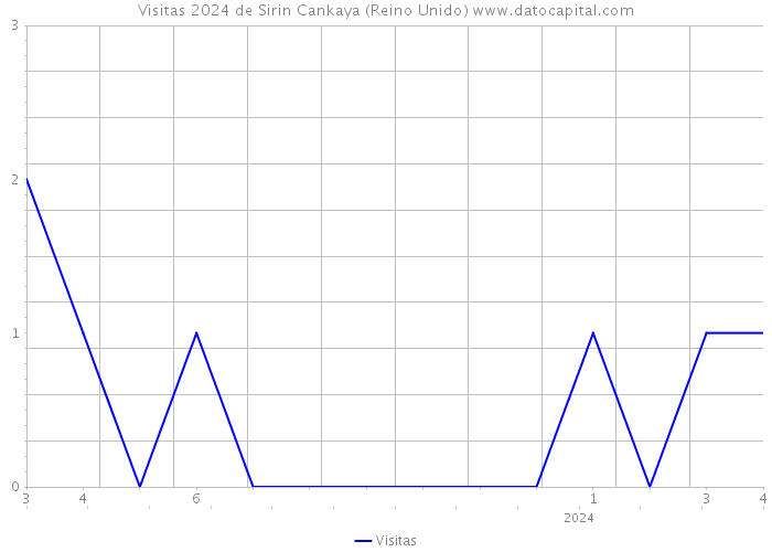 Visitas 2024 de Sirin Cankaya (Reino Unido) 