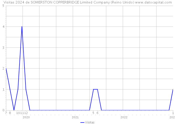 Visitas 2024 de SOMERSTON COPPERBRIDGE Limited Company (Reino Unido) 