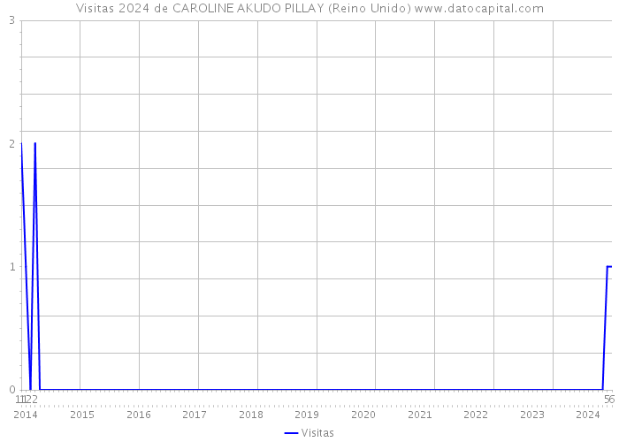 Visitas 2024 de CAROLINE AKUDO PILLAY (Reino Unido) 