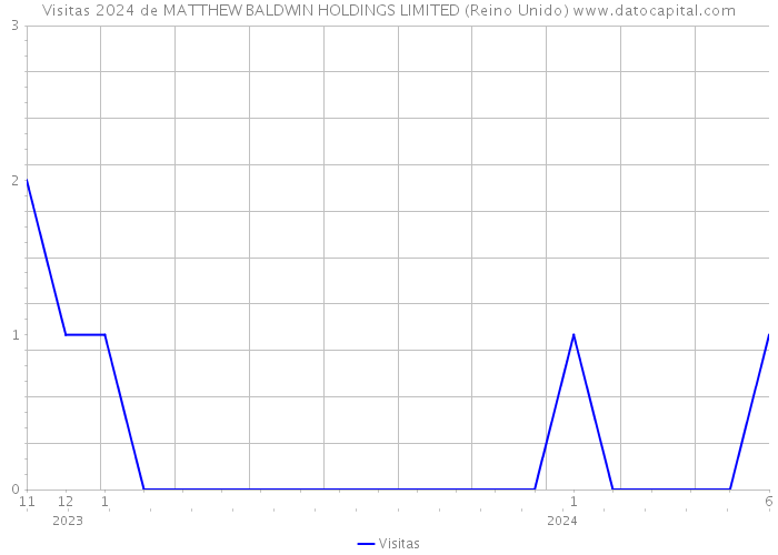 Visitas 2024 de MATTHEW BALDWIN HOLDINGS LIMITED (Reino Unido) 