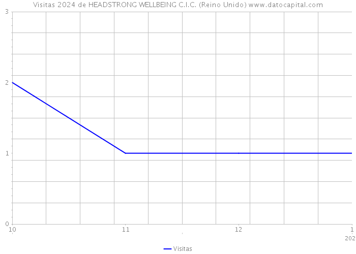 Visitas 2024 de HEADSTRONG WELLBEING C.I.C. (Reino Unido) 