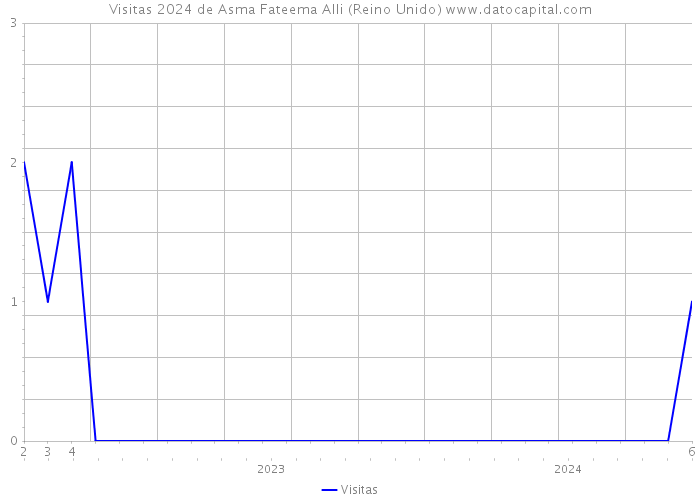 Visitas 2024 de Asma Fateema Alli (Reino Unido) 