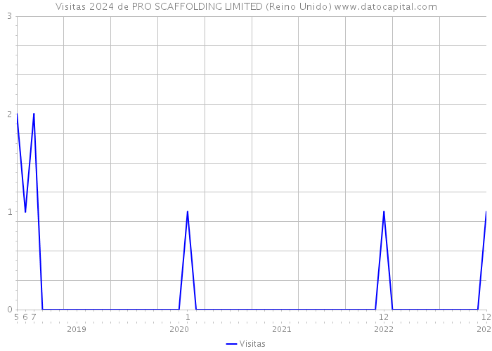 Visitas 2024 de PRO SCAFFOLDING LIMITED (Reino Unido) 