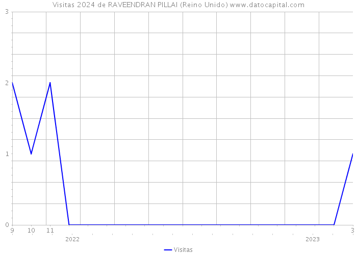 Visitas 2024 de RAVEENDRAN PILLAI (Reino Unido) 