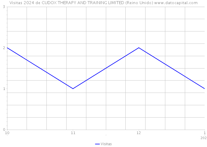 Visitas 2024 de CUDOX THERAPY AND TRAINING LIMITED (Reino Unido) 