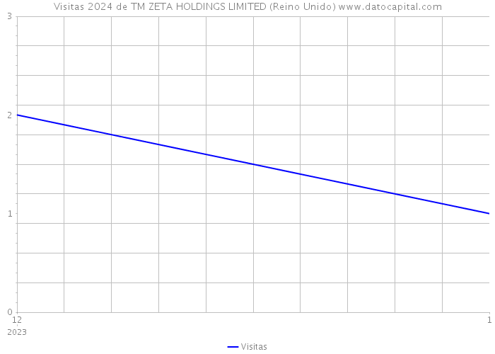 Visitas 2024 de TM ZETA HOLDINGS LIMITED (Reino Unido) 