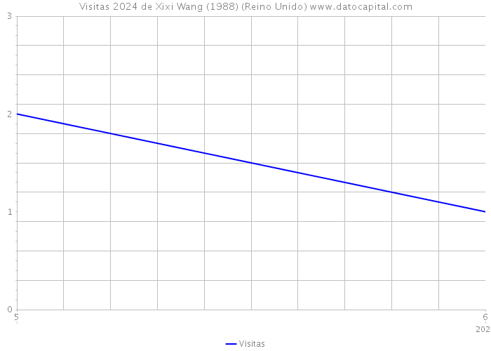 Visitas 2024 de Xixi Wang (1988) (Reino Unido) 