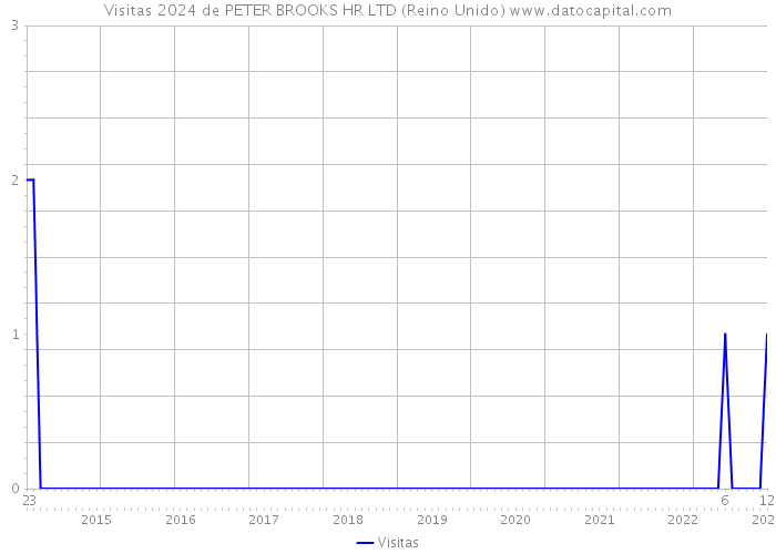 Visitas 2024 de PETER BROOKS HR LTD (Reino Unido) 