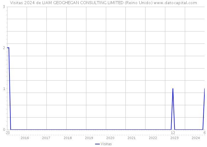 Visitas 2024 de LIAM GEOGHEGAN CONSULTING LIMITED (Reino Unido) 