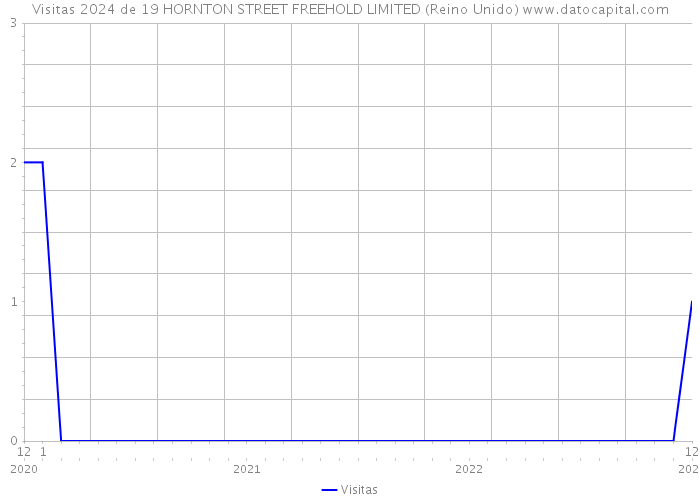 Visitas 2024 de 19 HORNTON STREET FREEHOLD LIMITED (Reino Unido) 