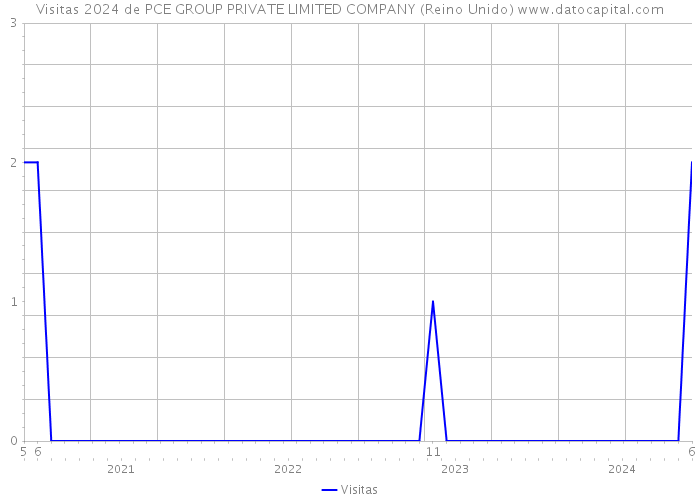 Visitas 2024 de PCE GROUP PRIVATE LIMITED COMPANY (Reino Unido) 