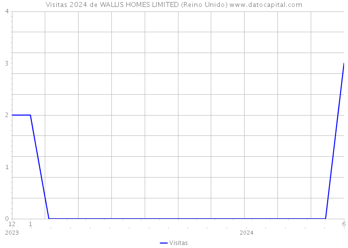 Visitas 2024 de WALLIS HOMES LIMITED (Reino Unido) 