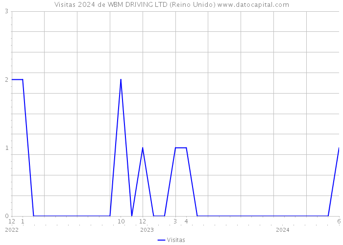 Visitas 2024 de WBM DRIVING LTD (Reino Unido) 