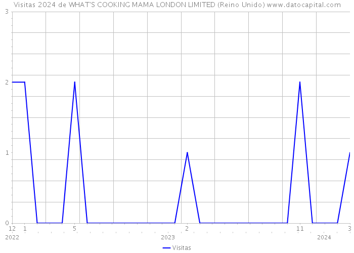 Visitas 2024 de WHAT'S COOKING MAMA LONDON LIMITED (Reino Unido) 