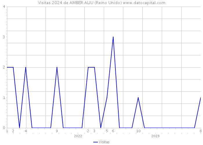 Visitas 2024 de AMBER ALIU (Reino Unido) 