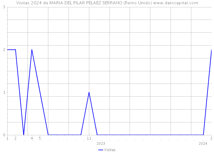 Visitas 2024 de MARIA DEL PILAR PELAEZ SERRANO (Reino Unido) 