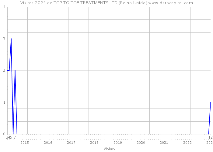 Visitas 2024 de TOP TO TOE TREATMENTS LTD (Reino Unido) 