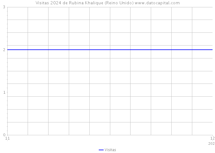 Visitas 2024 de Rubina Khalique (Reino Unido) 