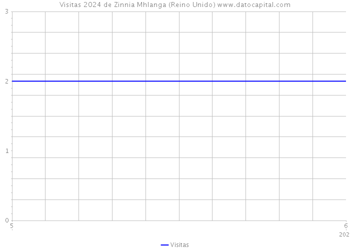 Visitas 2024 de Zinnia Mhlanga (Reino Unido) 