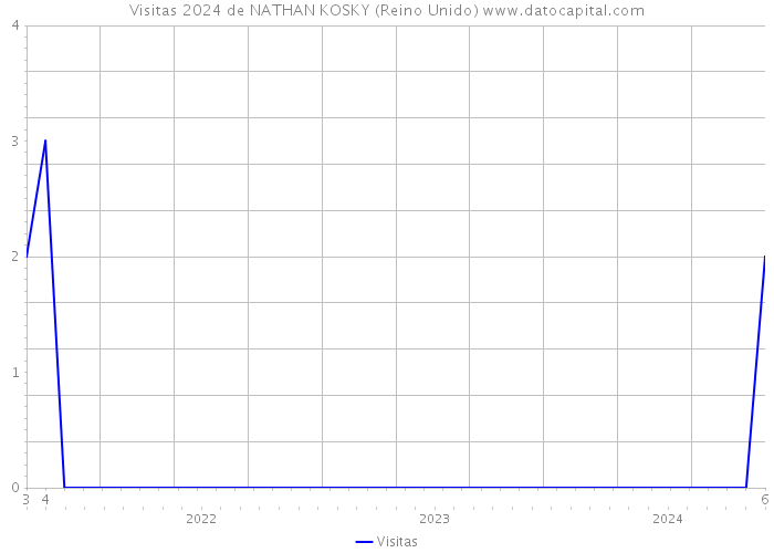 Visitas 2024 de NATHAN KOSKY (Reino Unido) 