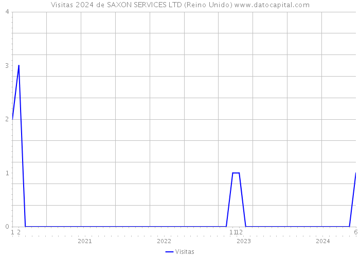 Visitas 2024 de SAXON SERVICES LTD (Reino Unido) 