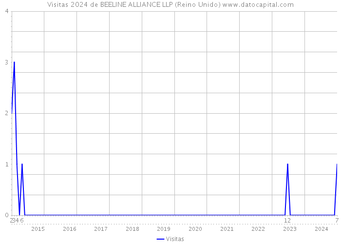 Visitas 2024 de BEELINE ALLIANCE LLP (Reino Unido) 