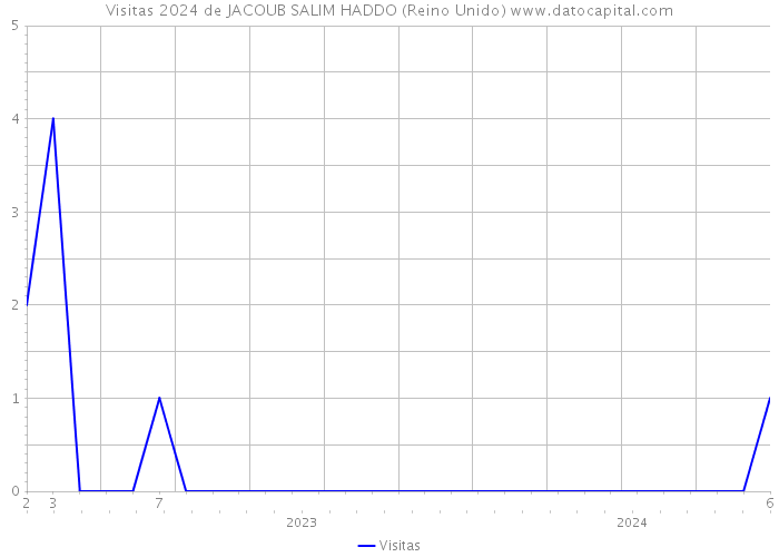 Visitas 2024 de JACOUB SALIM HADDO (Reino Unido) 