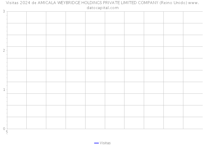 Visitas 2024 de AMICALA WEYBRIDGE HOLDINGS PRIVATE LIMITED COMPANY (Reino Unido) 