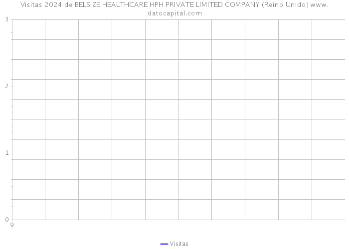 Visitas 2024 de BELSIZE HEALTHCARE HPH PRIVATE LIMITED COMPANY (Reino Unido) 