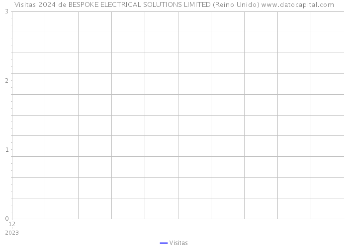 Visitas 2024 de BESPOKE ELECTRICAL SOLUTIONS LIMITED (Reino Unido) 