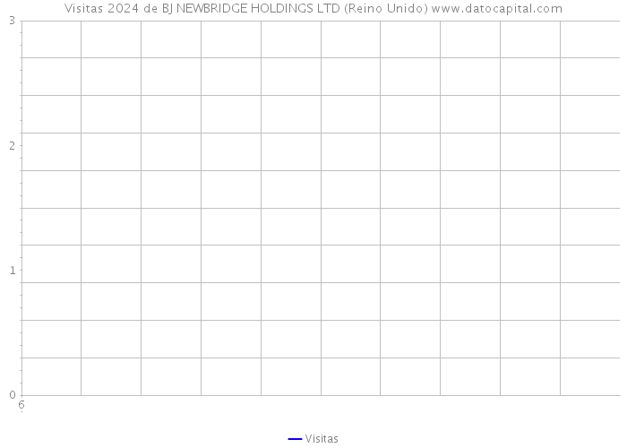 Visitas 2024 de BJ NEWBRIDGE HOLDINGS LTD (Reino Unido) 