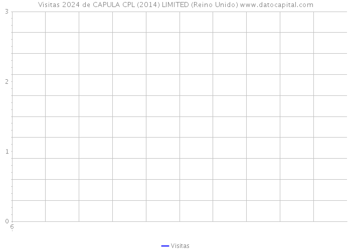 Visitas 2024 de CAPULA CPL (2014) LIMITED (Reino Unido) 