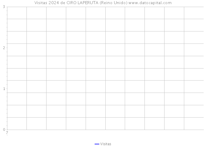 Visitas 2024 de CIRO LAPERUTA (Reino Unido) 